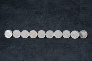 lot 162 image: 10 US Buffalo Nickel Coins - Full or Partial Date