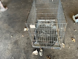 lot 45 image: Kennel