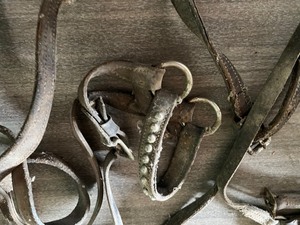 lot 24 image: old Horse Halters  leather