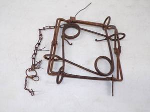 Large Conibear Trap 10