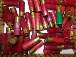 50 Assorted 12 Gauge Shot Gun Shells
