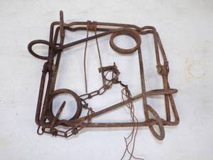 Large Conibear Trap 10