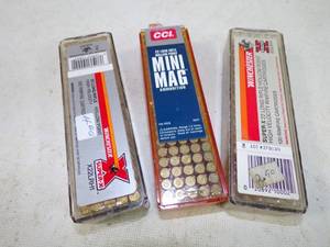 .22 LR Bullet 200 rounds Ammunition
