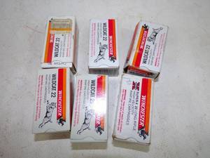 .22 LR Bullet 200 rounds Ammunition