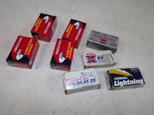 .22 LR Bullet 200 rounds Ammunition