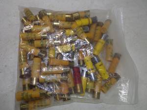 Assorted 20 Gauge Shot Gun Shells