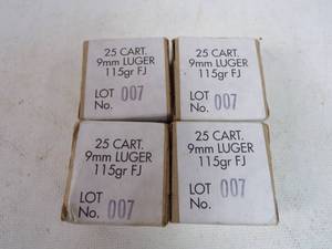 100 Rounds 9mm Luger Ammunition