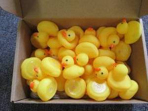 box of 60 mini ducks...