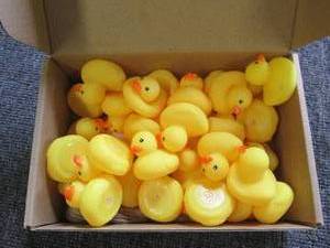 box of 60 mini ducks...