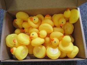 box of 60 mini ducks...