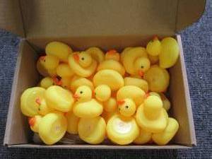 box of 60 mini ducks...