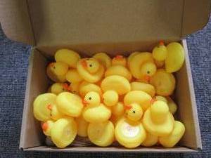 box of 60 mini ducks...