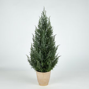 lot 163 image: NEW - allen  roth 24-in Green Indoor Artificial Cypress Trees 014434151085 MSRP $34.98
