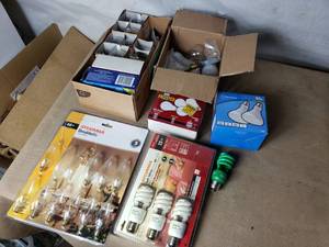 Various Light Bulbs