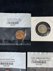 Littleton Coin Lot