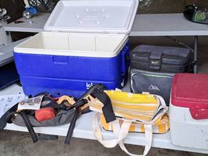 lot 222 image: Lot of (5) Coolers