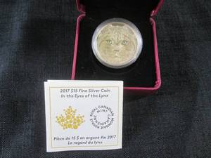 lot 100 image: 2017 $15 Fine Silver In the Eyes of...
