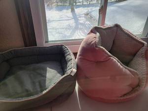 lot 11 image: Two Comfortable Pet Beds