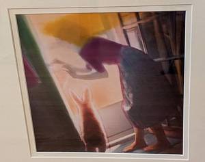 Unique Framed Altered Photograph
