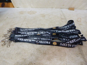 19 Lanyards