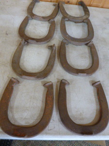 8 Horseshoes
