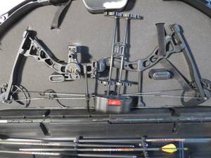 lot 18 image: Infinite Edge Compound Bow with Arrows and Case