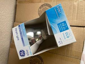 Indoor Floor Light Bulbs