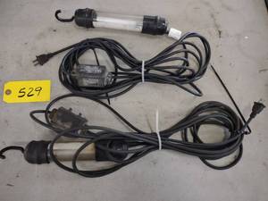 lot 529 image: (2) Trouble Lights...