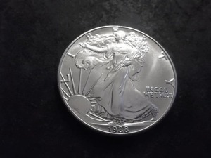1988 US American Eagle Dollar