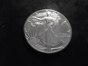 1989 US American Eagle Dollar