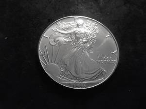 1993 US American Eagle Dollar