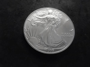 1995 US American Eagle Dollar