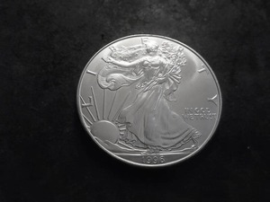 1996 US American Eagle Dollar