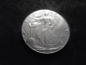 2002 US American Eagle Dollar