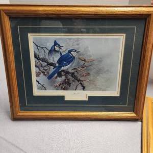 2 Framed 14 X 18 Bird Prints