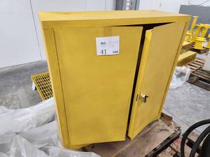 lot 41 image: 2-door Metal Fire-Resistant Cabinet
