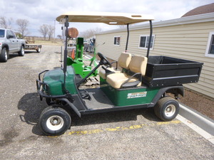 EXGO Workhorse Golf Cart