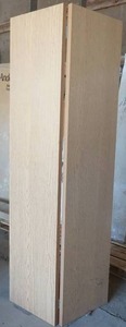 Bifold Door