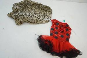 lot 248 image: dog jacket dress