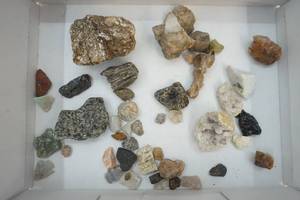 lot 195 image: Collector Rocks