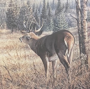 lot 415 image: Limited Edition Autumn Challenge Framed Print by Jim Kasper