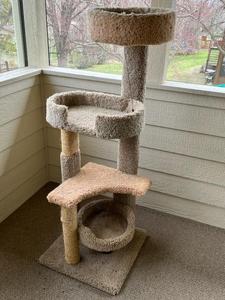 lot 226 image: 55 Cat Playset