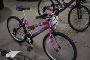 lot 796 image: Pacific Wanderer 20 Girls Mountain Bike 16 Pink Frame