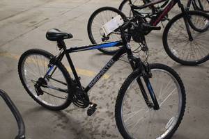 lot 799 image: Roadmaster 22 Mens Mountain Bike 18 Blue Frame