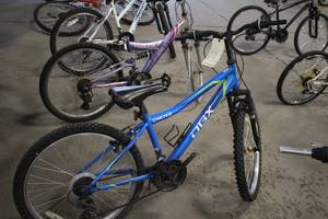 lot 817 image: DBX 20 Boys Trail Bike 14 Blue Frame