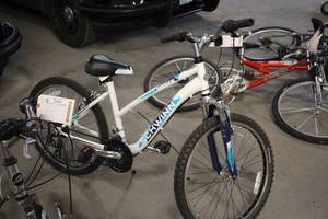 lot 819 image: Schwinn 20 Girls Trail Bike 16 White Frame