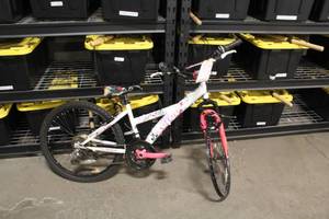 lot 840 image: Avigo 20 Boys Trail Bike 14 White Frame