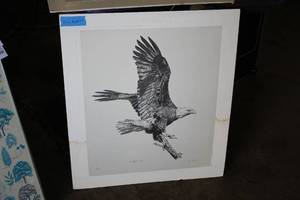 lot 862 image: Print - Eagle Landing on Branch by Liz Mcleod #165350 Signed&Numbered circa March 1985 , Single Matte