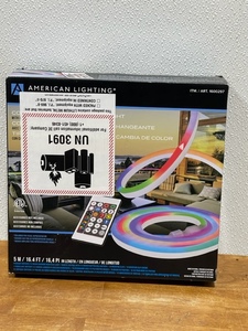 Color Changing Neon Flex Light