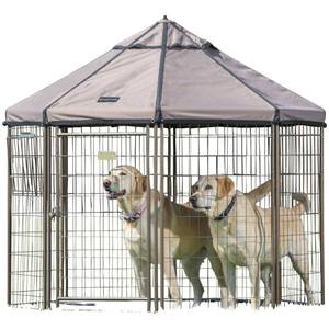 lot 839 image: New  Advantek 5 x 5 Pet Gazebo - MSRP $249.99